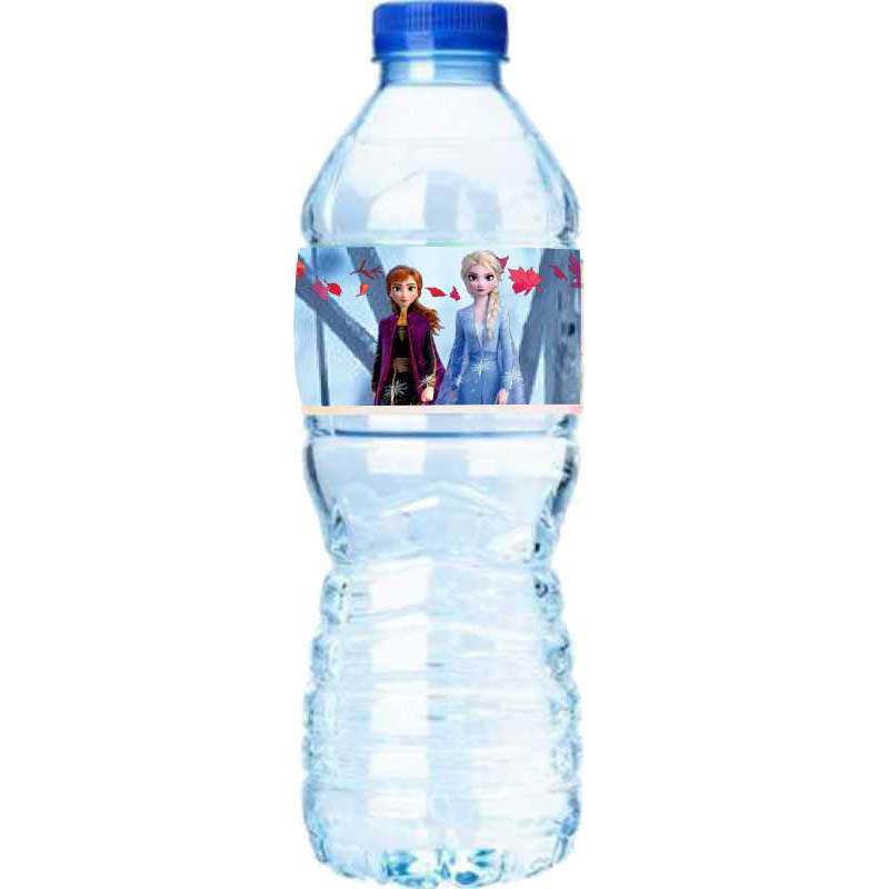 Χάρτινες Ετικέτες για μπουκάλια νερού Frozen (8 τεμ)