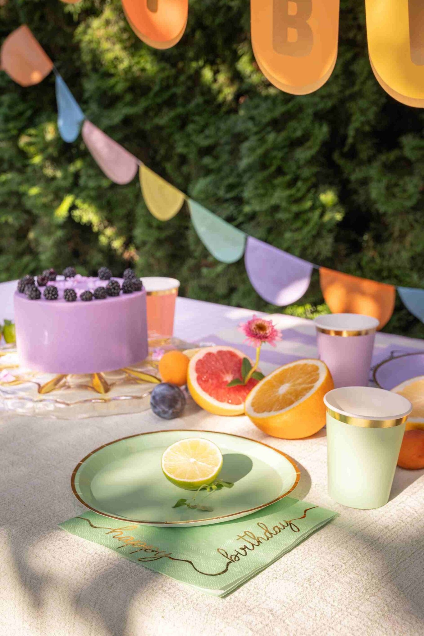 Χαρτοπετσέτες πάρτυ Elegant Pastel (12 τεμ)