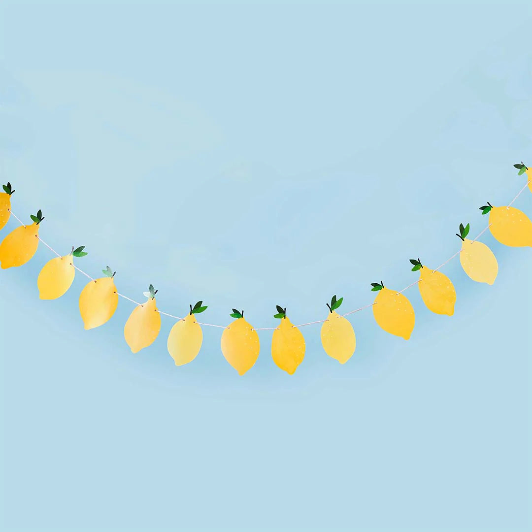 Διακοσμητική Γιρλάντα Λεμόνι 250cm