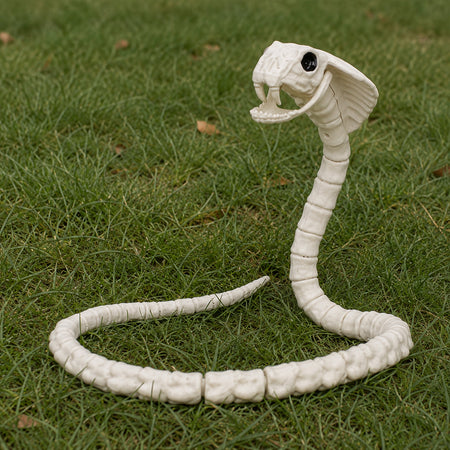 Διακοσμητικός Σκελετός Κόμπρας (100 cm)