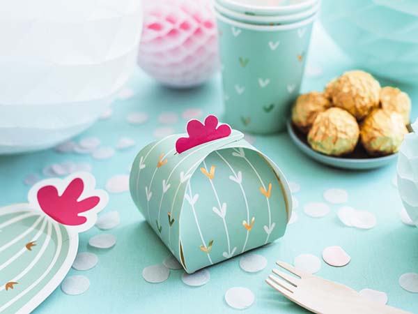 Κουτάκι για δωράκια Κάκτος (10 τεμ)