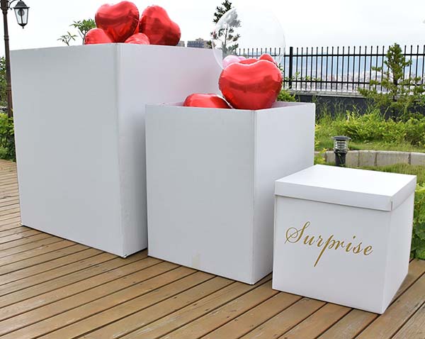 Κουτί έκπληξης "Surprise"