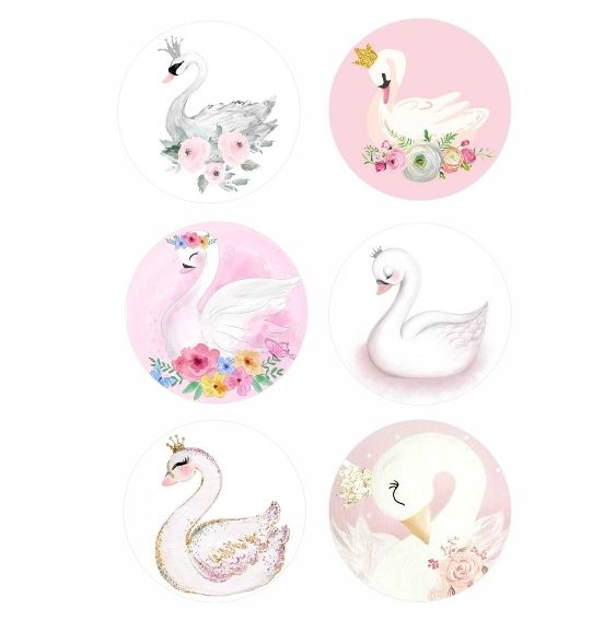 Κονκάρδες Κύκνος (6 τεμ)