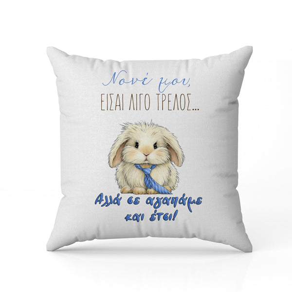 Πασχαλινό Μαξιλάρι - Nονέ Είσαι Τρελός