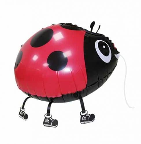 Μπαλόνι Πασχαλίτσα Walking