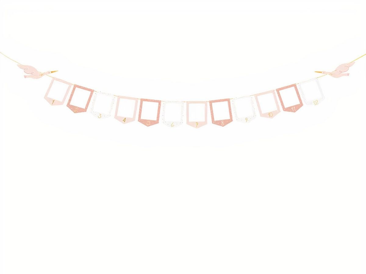 Μπάνερ για φωτογραφίες μωρού κάθε μήνα - Κορίτσι