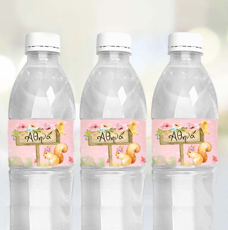 Αυτοκόλλητα με όνομα Νεράιδα (6 τεμ)