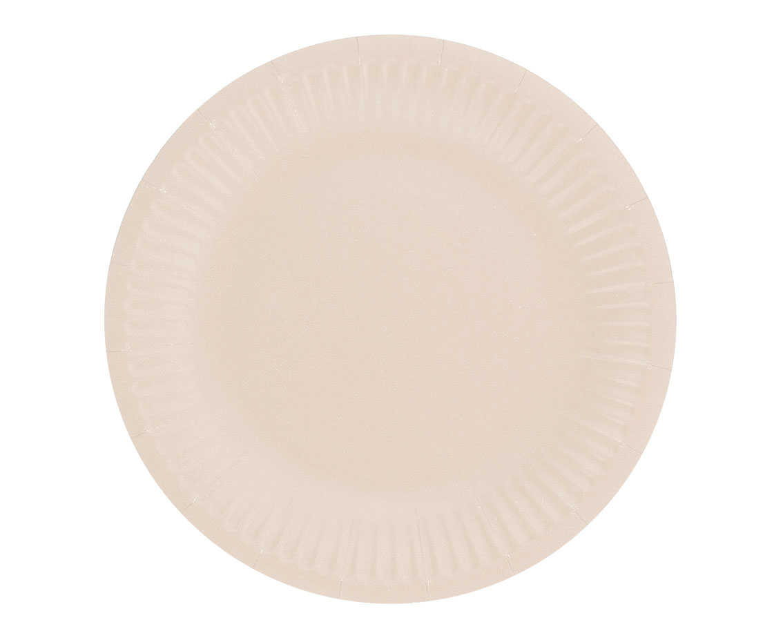 Πιάτα πάρτυ Ροζ Πουδρέ (6 τεμ)