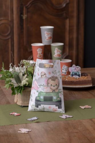 Τσαντάκια για δωράκια Σαφάρι (10 τεμ)