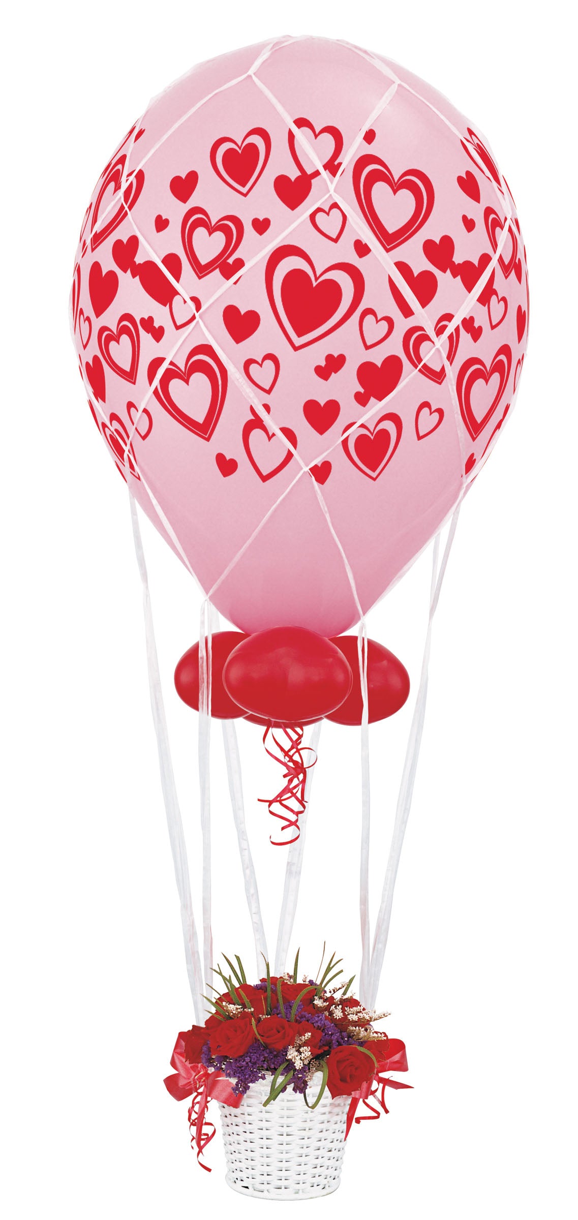 Δίχτυ για μπαλόνι 16