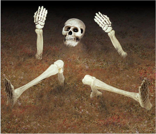 Διακόσμηση Πλαστική Σκελετός 10 τεμ 18 - 32 εκ