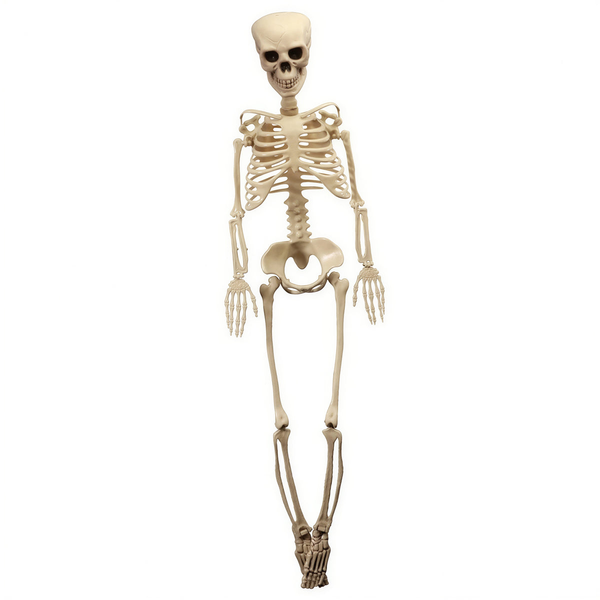 Διακοσμητικός Αρθρωτός Σκελετός - Halloween (165 cm)
