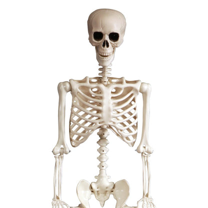 Διακοσμητικός Αρθρωτός Σκελετός - Halloween (165 cm)