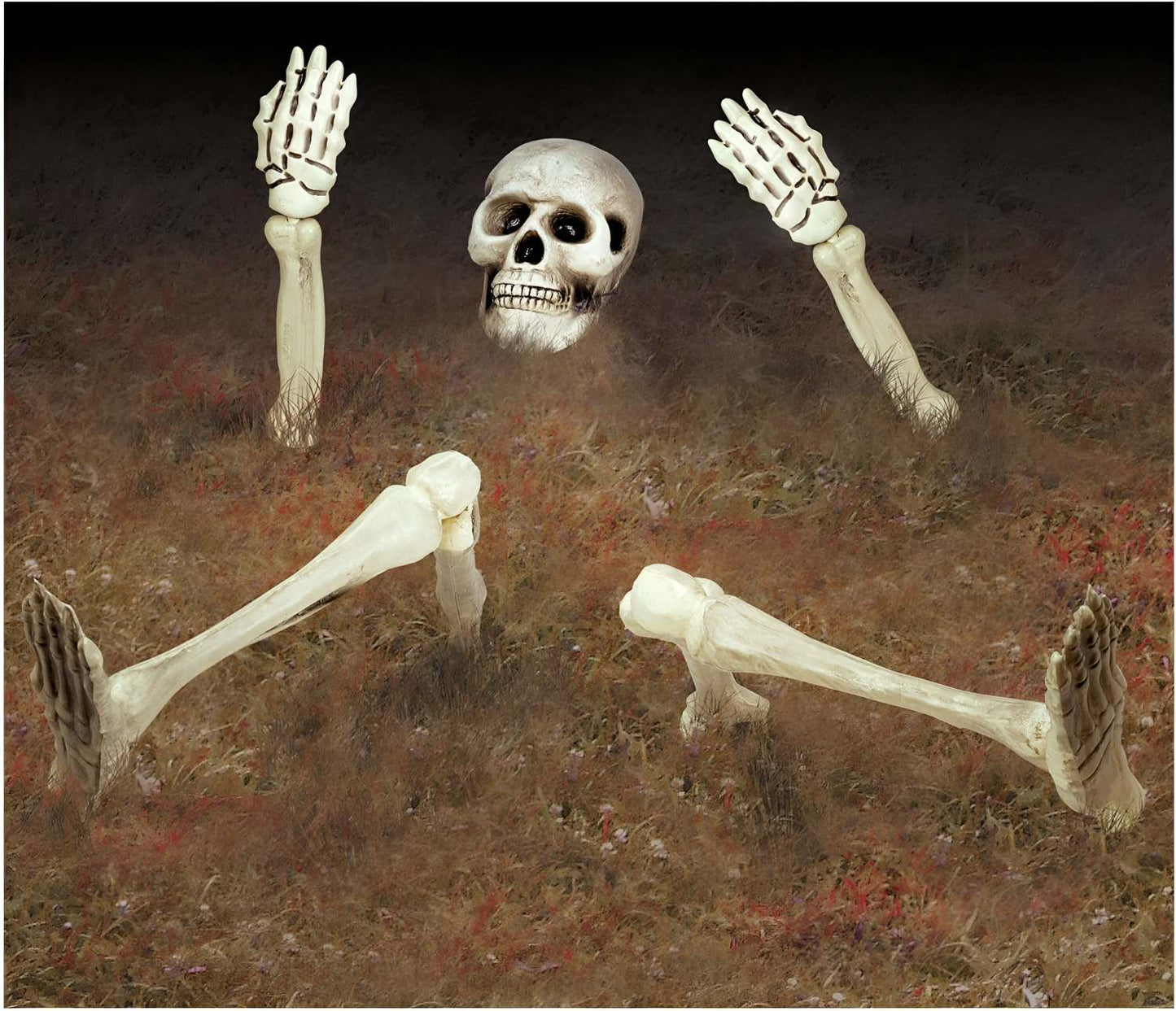 Διακοσμητικός Σκελετός για τον κήπο (10 τεμ)