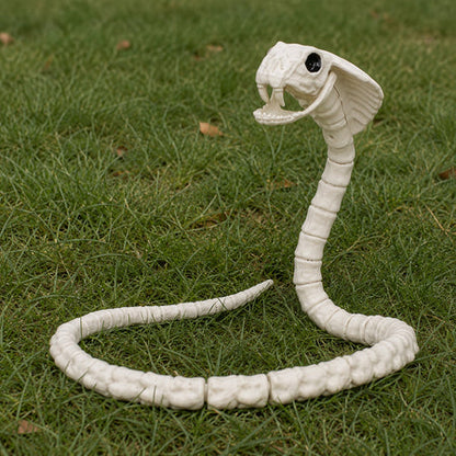 Διακοσμητικός Σκελετός Κόμπρας  (100 cm)