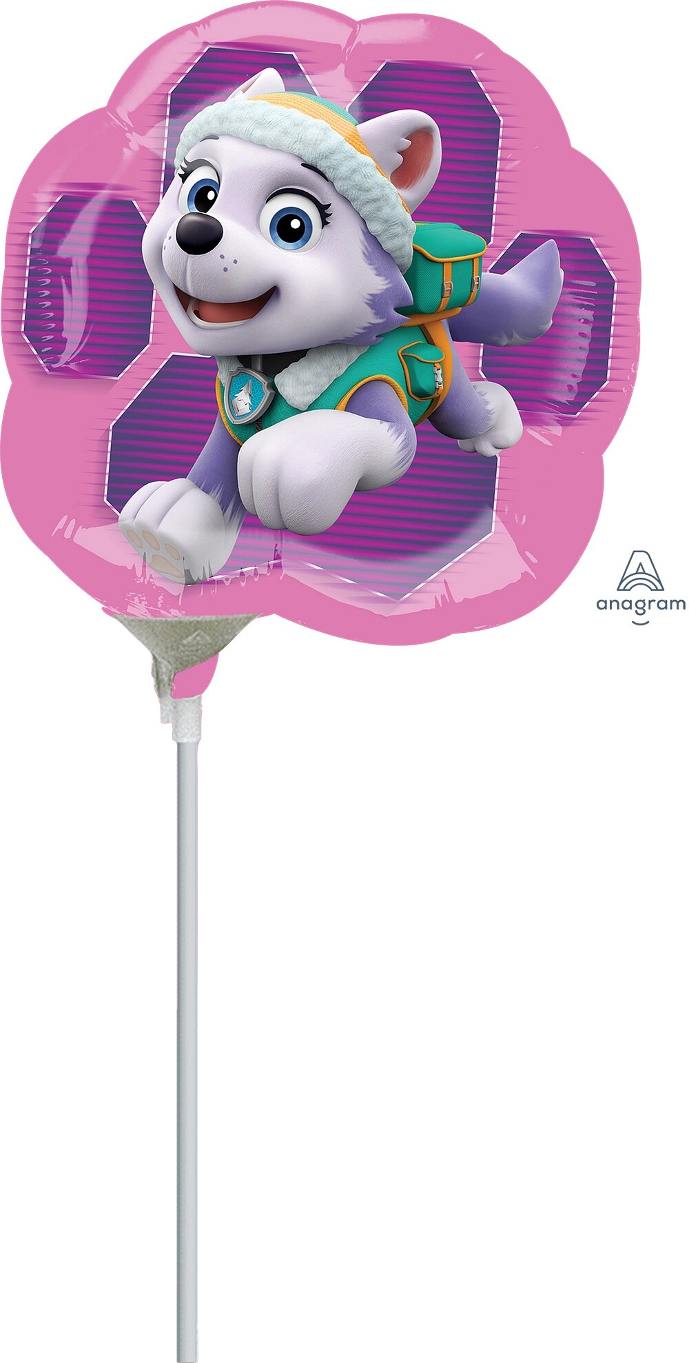 Μπαλόνι Φοιλ Μίνι Δύο Όψεις 9'' Paw Patrol / 23 εκ - Skye & Everest