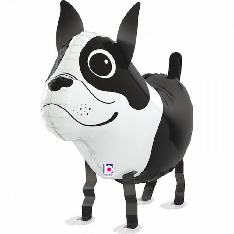 Μπαλόνι Σκυλάκι Boston Terrier που περπατάει 48 εκ