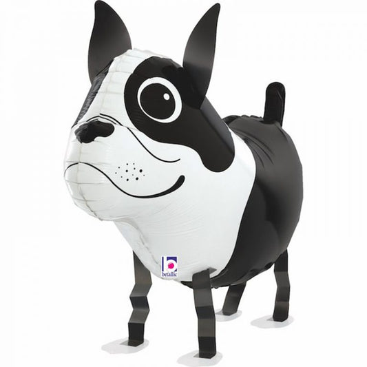 Μπαλόνι Σκυλάκι Boston Terrier που περπατάει 48 εκ