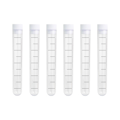 Φιαλίδια για σφηνάκια πάρτυ (6 τεμ)