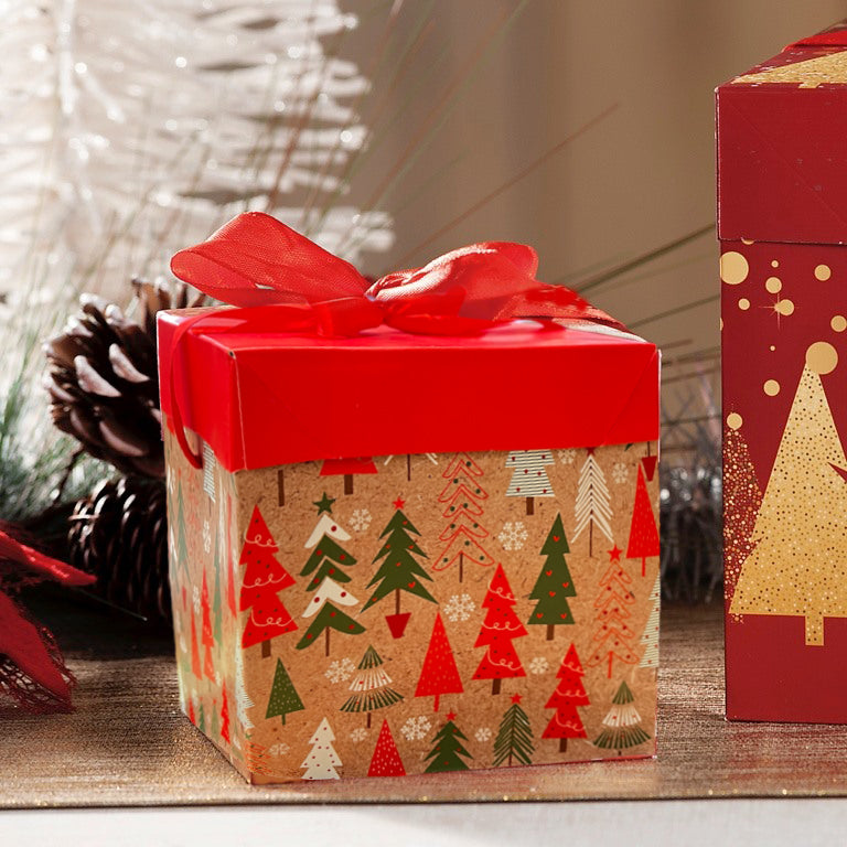 Χριστουγεννιάτικο κουτί με δώρα - Καλύτερος Δάσκαλος