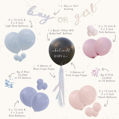 Σετ πάρτυ για Gender Reveal (25 τεμ)