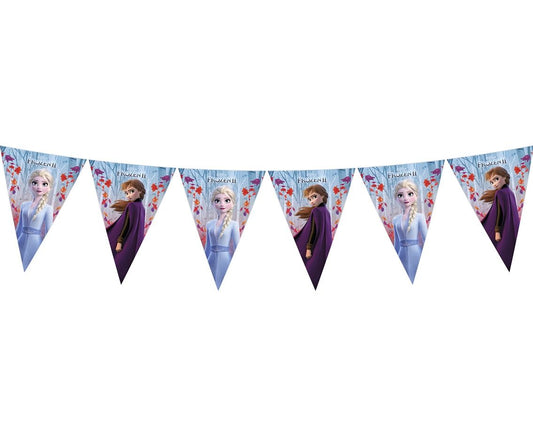 Τριγωνικά Σημαιάκια Frozen II 2.2m