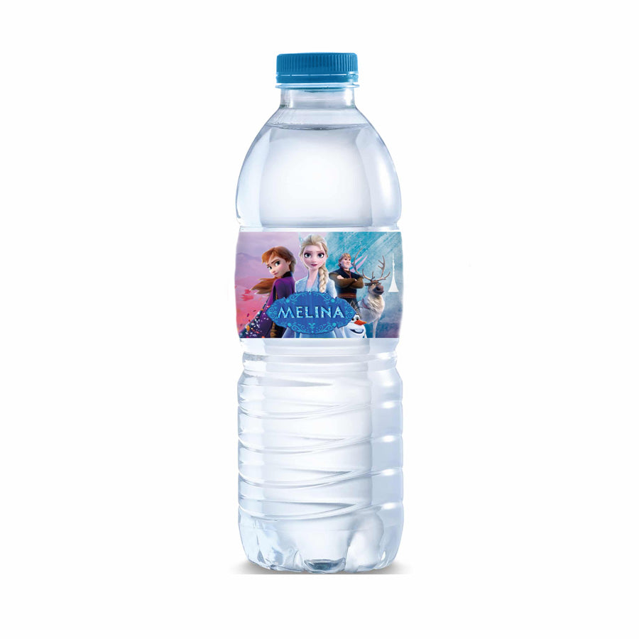 Χάρτινες Ετικέτες για μπουκάλια νερού Frozen (8 τεμ)