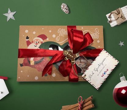 Χριστουγεννιάτικο κουτί με 6 στολίδια ζωάκια