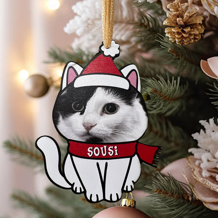 Χριστουγεννιάτικο Στολίδι για κατοικίδιο - Γατούλα