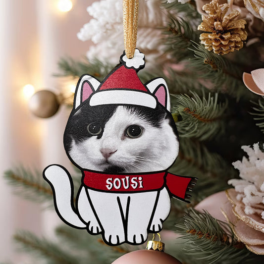 Χριστουγεννιάτικο Στολίδι για κατοικίδιο - Γατούλα